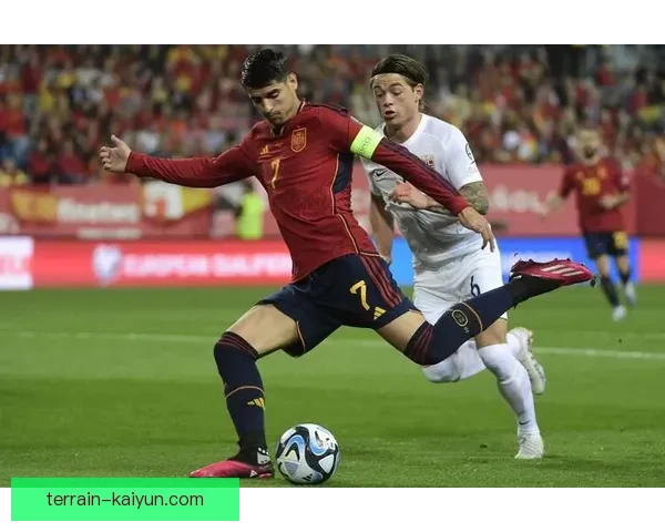 挪威队欧预赛出线希望渺茫，当前积分形势不容乐观